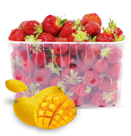 picture of fruits